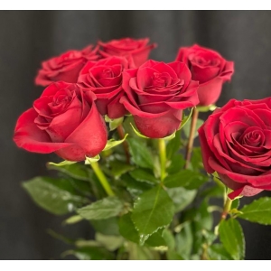Купить красную розу с доставкой в Биробиджане
