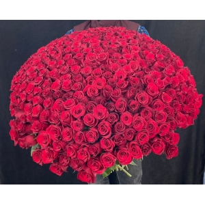 Купить охапку из 351 роз с доставкой в Биробиджане