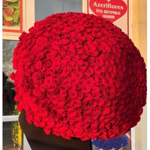 Купить охапку из 501 красной розы с доставкой в Биробиджане