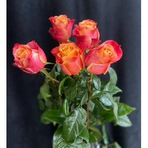 Купить розу 3D с доставкой в Биробиджане