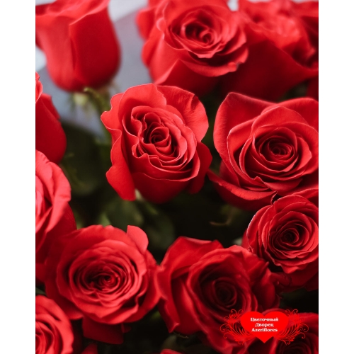 Купить букет из 25 красных роз в Биробиджане