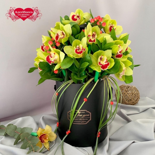Купить королевскую орхидею в коробке в Биробиджане