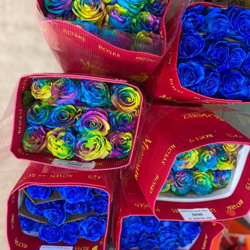 Синие и радужные розы
